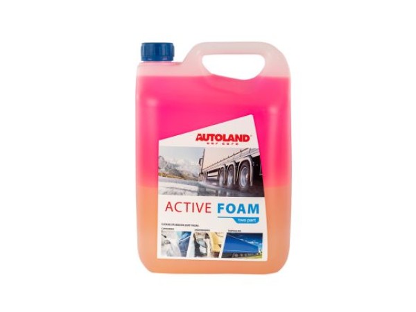 Ενεργός αφρός καθαρισμού Two-component active foam 5L