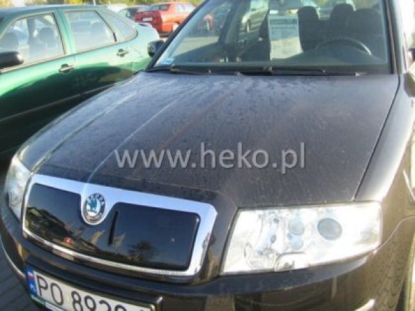 Χειμερινός ανεμοθραύστης Heko για SKODA Superb I (2002-2006) - upper